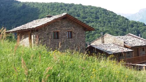 Chiusa di PesioLe Baite di Baudinet - Trek&Relax的草地上一座古老的石头房子