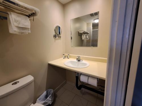 北悉尼Highland Motel的一间带水槽、卫生间和镜子的浴室