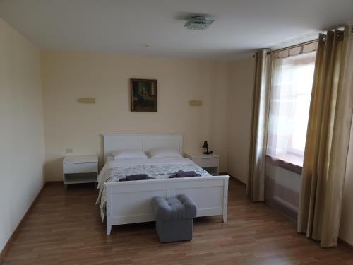 包斯卡Hotel Viona的卧室配有白色的床和窗户。