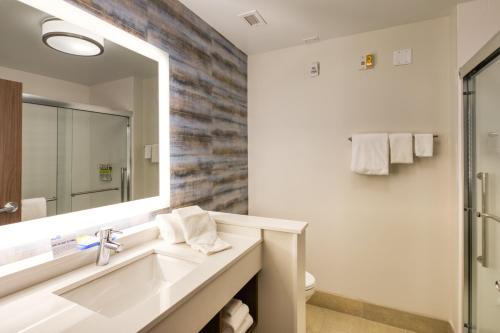 Holiday Inn Express & Suites - Charlotte - South End, an IHG Hotel的一间浴室