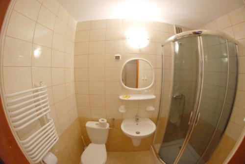 OlpuchHotel Gołuń的带淋浴、卫生间和盥洗盆的浴室