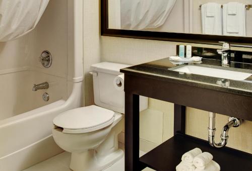 加蒂诺加蒂诺康福特茵酒店的一间带卫生间和水槽的浴室