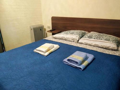 谢尔盖耶夫卡Отель "Лагита"的床上有两条毛巾