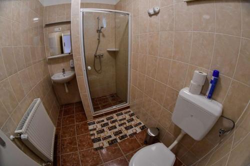 NyíradonyFenyves Csárda Vendégház的带淋浴、卫生间和盥洗盆的浴室