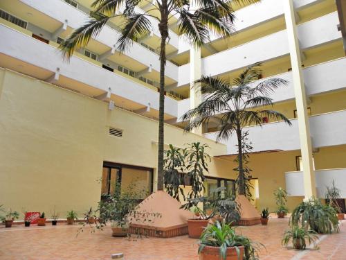 贝纳尔马德纳JSM公寓的一座大建筑,庭院里种有棕榈树