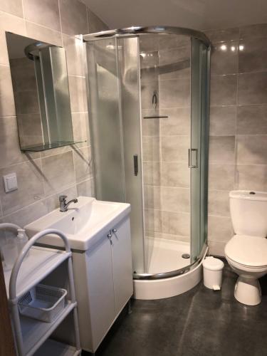 博茨科沃PRZY KWADRACIE的带淋浴、卫生间和盥洗盆的浴室