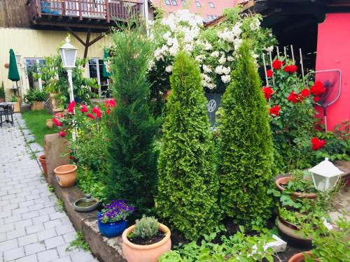 博登斯边的伊门施塔特精灵苑乡村酒店的种有花草和植物的盆子花园