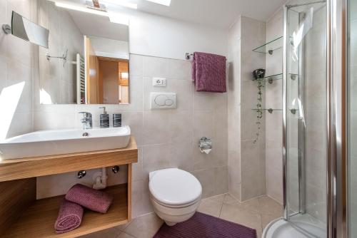 富内斯Living Puez的浴室配有卫生间、盥洗盆和淋浴。