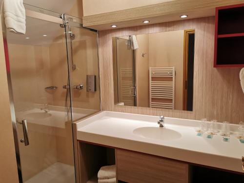 坎特赞Hotel Au Parc des Cigognes的一间带水槽、淋浴和镜子的浴室