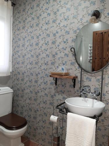 Herrera del DuqueCasa Rural "Los Aperos"的一间带水槽、卫生间和镜子的浴室