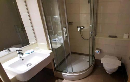 布雷拉Apartments Villa Loznica的带淋浴、盥洗盆和卫生间的浴室