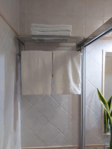 厄尔梅达诺A&A El Médano Apartment AIRE, WIFI, CANALES TV的浴室毛巾架上的两条毛巾