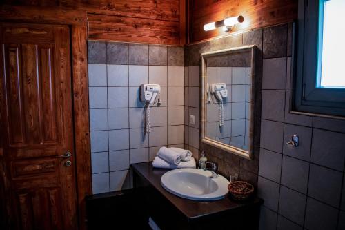 科尼察乡村风格公寓的一间带水槽和镜子的浴室