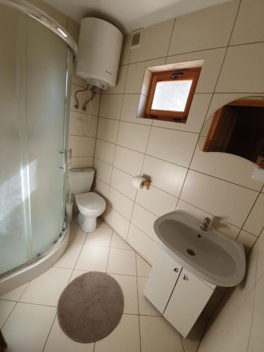 斯图托沃Anna i Halina的一间带水槽、卫生间和淋浴的浴室