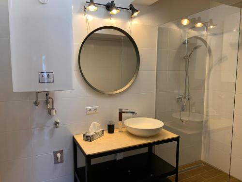 克拉根福Sandra's Loft的一间带水槽、镜子和淋浴的浴室