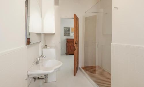 圣阿尔坎杰洛-迪罗马涅DelleFarfalle Boutique Apartments的白色的浴室设有水槽和淋浴。