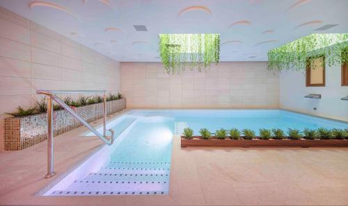 拉加里加Sono & SPA - Adults Only的室内植物游泳池