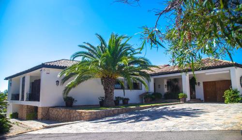 贝尼多姆Villa Altozano with pool, barbeque, large garden, and fantastic sea views的前面有棕榈树的房子