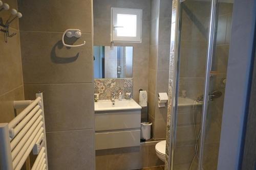 拉科纳Le Gîte de L'Adrech的带淋浴、盥洗盆和卫生间的浴室