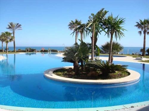 锡蒂奥卡拉翁达Mi Capricho的一座棕榈树和海洋的大型游泳池