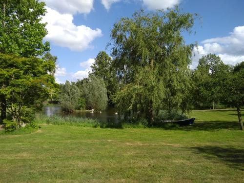 WittelteLandgoed Wittelte Dwingeloo的公园里有河流,树和船