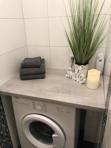 哥达Ferienwohnung Viktoria的台面上植物的浴室内的洗衣机