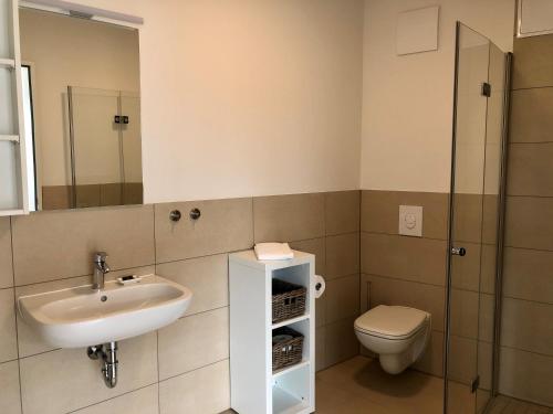 布伦瑞克ADAPT Apartments Braunschweig的一间带水槽和卫生间的浴室