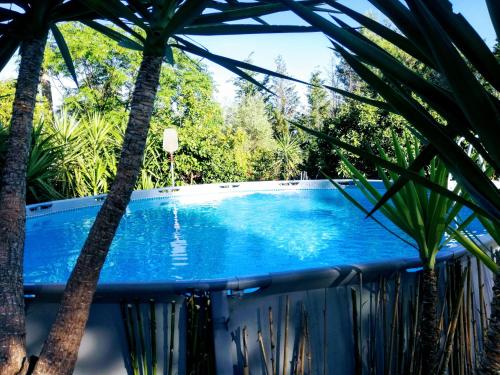 卡斯特拉巴特滨海MyLife B&B Country House的周围环绕棕榈树的游泳池