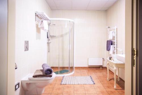 巴蒂泽巴特薇拉酒店的带淋浴、卫生间和盥洗盆的浴室