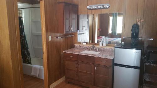 Lake CityAlpine Moose Lodge的厨房配有冰箱和水槽。