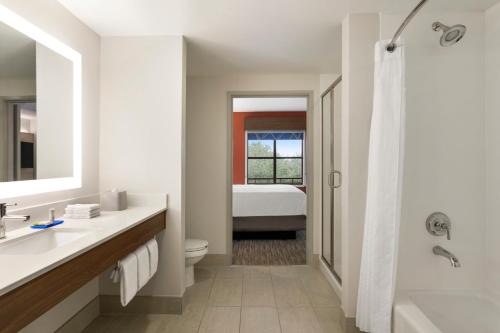 查尔斯顿芒特普莱森特智选假日酒店 - 查尔斯顿的浴室配有盥洗盆、卫生间和浴缸。
