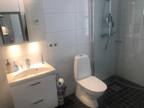 弗加尔巴卡Fjällbacka Centralt的浴室配有卫生间、盥洗盆和淋浴。
