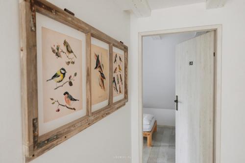BabimostLeśniki的墙上有四幅鸟儿照片的走廊