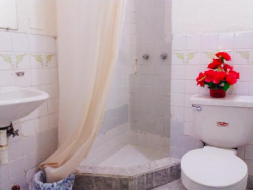 安巴托Nápoles Emperador II的浴室配有卫生间、盥洗盆和淋浴。