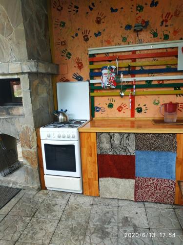 敖德萨奇特科酒店的厨房配有炉灶和炉灶。 顶部烤箱