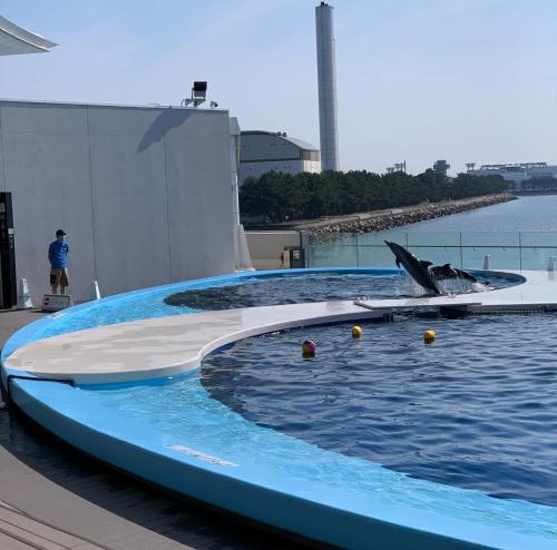 坂出市阪出格兰德酒店的海水中海豚游泳池