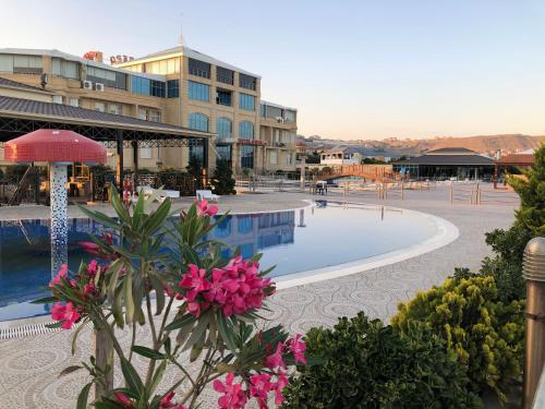 巴库阿伊斯博度假酒店的一个带游泳池和一些粉红色花卉的度假胜地
