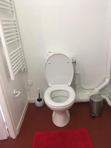 圣萨蒂尔La Bernache的浴室设有白色卫生间和红色地毯。