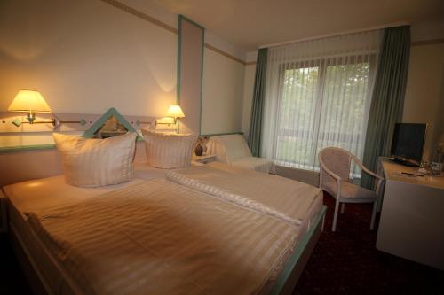 普劳西瑞克酒店的酒店客房设有一张大床和一张书桌。