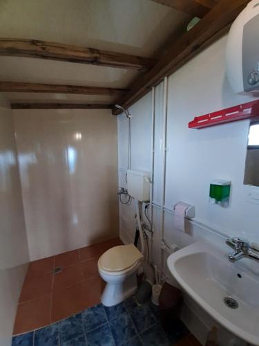 OrtsevoВила Орцево Vila Ortsevo的一间带卫生间和水槽的浴室