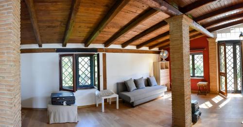 阿尔巴诺拉齐亚莱Villa di Lago Albano - Castel Gandolfo的带沙发和炉灶的客厅