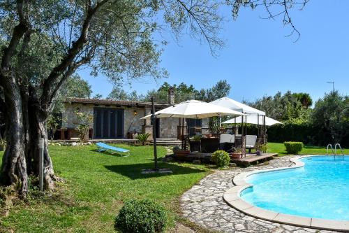 阿尔巴诺拉齐亚莱Villa di Lago Albano - Castel Gandolfo的一个带游泳池和房子的花园