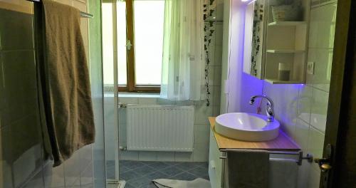 罗孚尔Ferienwohnungen Schweinöster的一间带水槽和镜子的浴室