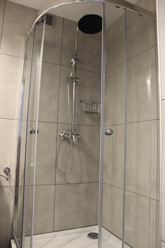 扎科帕内绿色别墅民宿的浴室里设有玻璃门淋浴