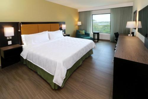 坦皮科坦皮科-阿尔塔米拉假日酒店的一间酒店客房,设有一张大床和一个大窗户