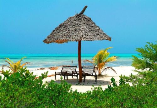 帕杰Hakuna Majiwe Beach Lodge的海滩上两把遮阳伞下的长椅