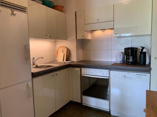 莱森Roc d'Orsay E52的厨房配有白色橱柜和水槽