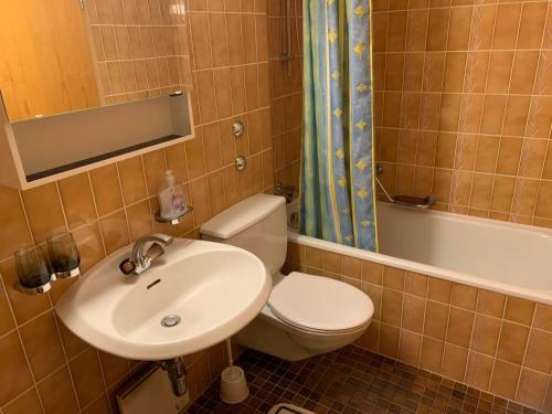 莱森Roc d'Orsay E52的浴室配有卫生间、盥洗盆和浴缸。