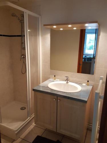 莫达讷studio 26 m2 tout équipé的一间带水槽、淋浴和镜子的浴室