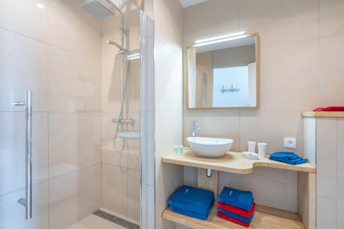 滨海布洛涅"Les Mouettes"的一间带水槽和淋浴的浴室